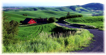 Sunset on the Palouse