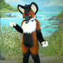 maned wolf standing