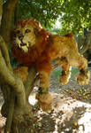 Sabertooth Lion in a tree