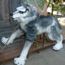 husky wolf quadsuit
