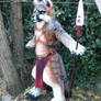 gray fox warrior