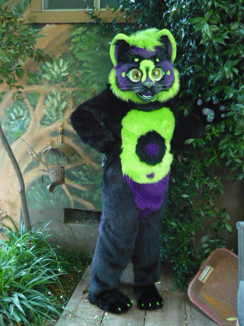 cat fursuit FOR SALE