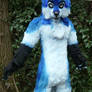 blue fusky 5