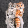 beastcub creation's tigers