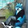 teal fox feetpads