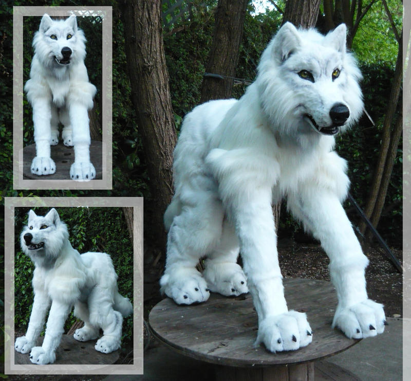 White wolf quadsuit