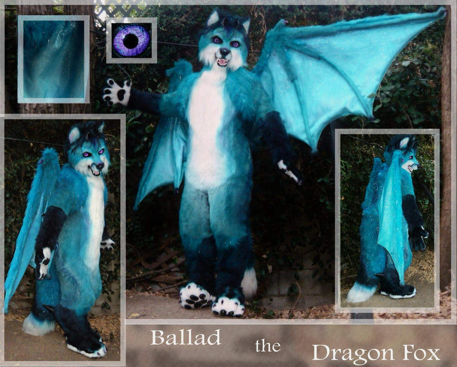 dragon fox 3