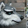 husky wolf updated