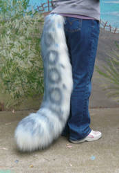 Blue snow leopard tail