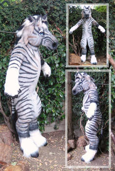 Zorse
