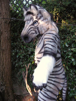 Zorse Fursuit