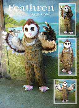 Owl Fursuit