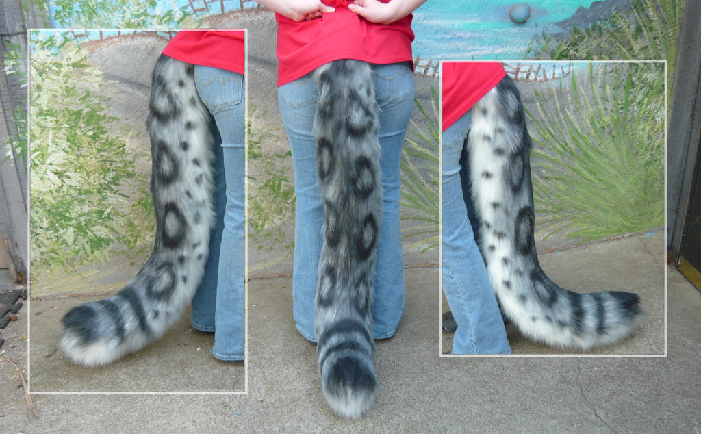 Snow leopard tail number ?