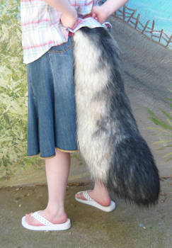 extra large wolf tail