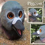 Pigeon