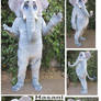 Hasani the Elephant
