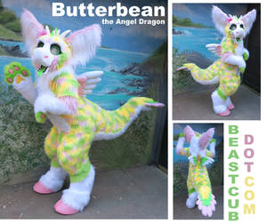 Butterbean the Angel Dragon