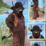 American Bison