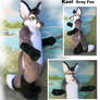 Kael -Gray Fox