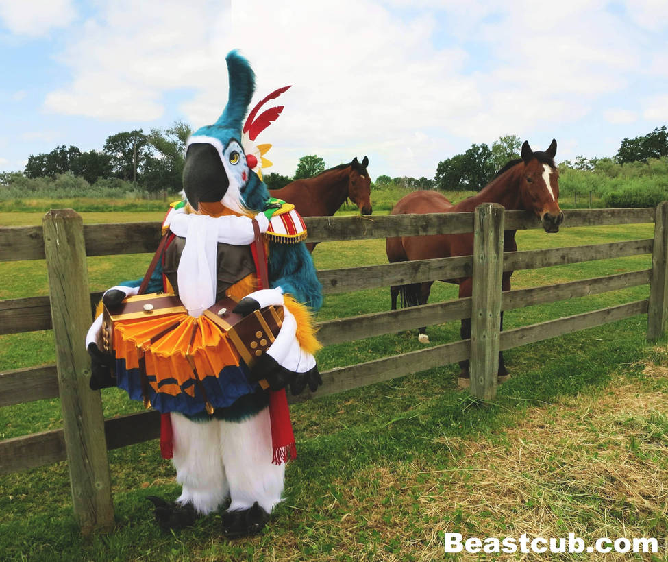 Breath of the Wild: Kass Cosplay by LilleahWest