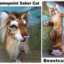 Flamepoint Saber Cat - new hairdo