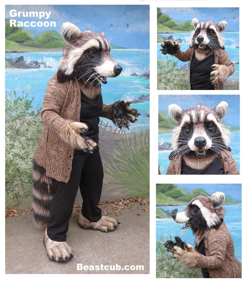 Grumpy Raccoon by LilleahWest on DeviantArt