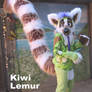 Kiwi Lemur