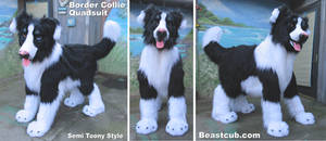 Semi Toony Border Collie Quadsuit