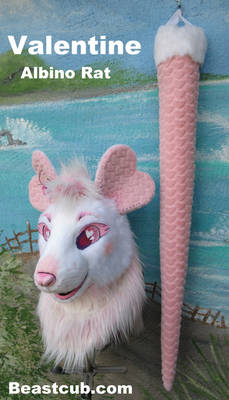 Valentine the Rat FOR SALE
