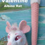 Valentine the Rat FOR SALE