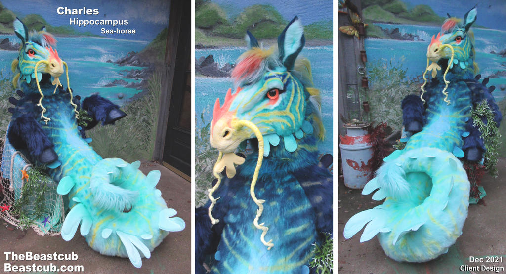 Mythical Seahorse Costume