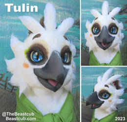 Tulin Cosplay