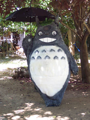 Totoro costume completed