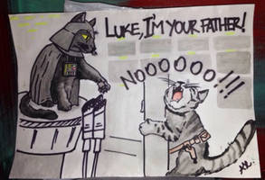Vader e Luke