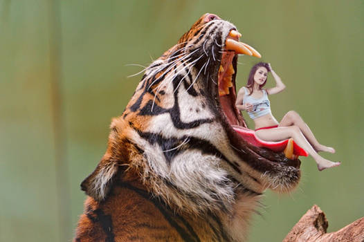 Tiger Vore 6