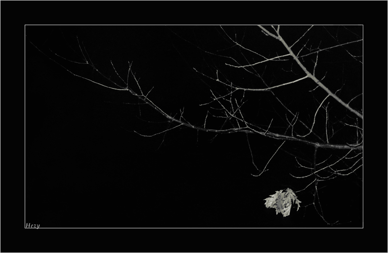 The Last Leaf