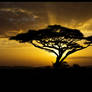 Africa Landscape 28