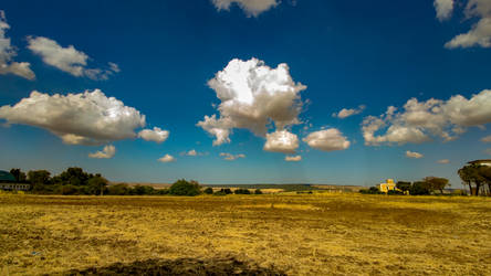 Cotton Clouds