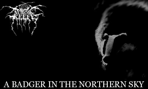 A Badger In the Northern Sky