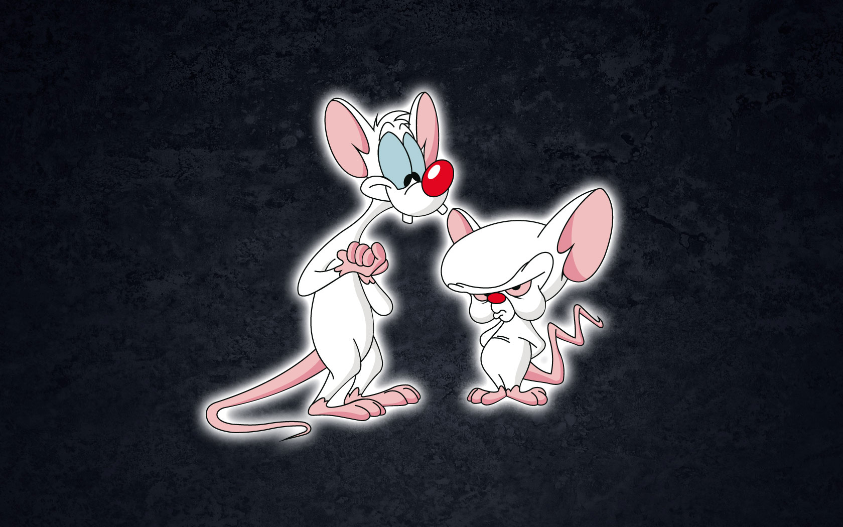 Pinky and The Brain