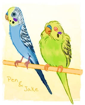 Pen And Jake