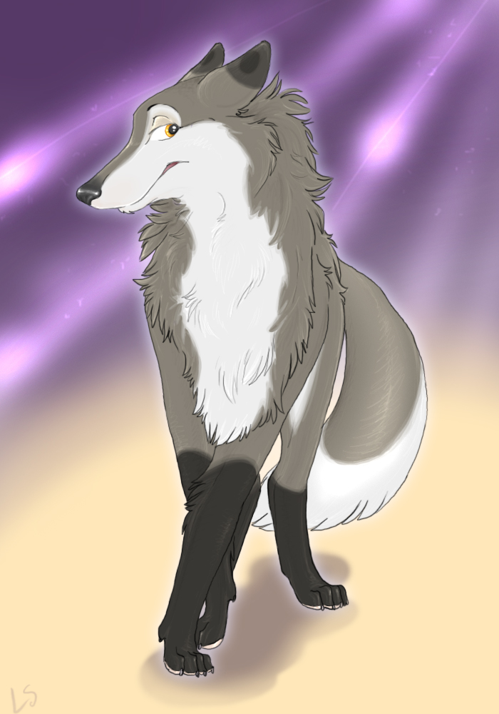 Deviantart Coy Coy by lentilstudios on DeviantArt