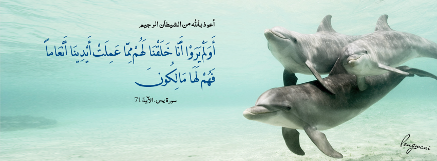 Surat YaSeen Aya 71 -  FB Cover