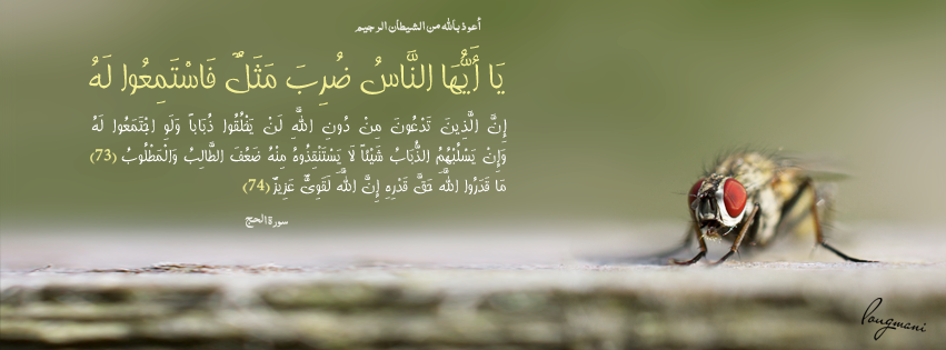 Surat Al-Hajj Aya 73 and 74 - FB Cover