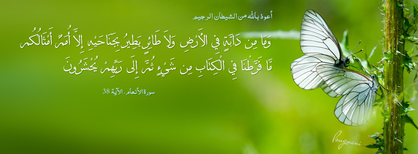 Surat Al-Anaam Aya 38 -  FB Cover