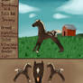 Sundance kid's ref
