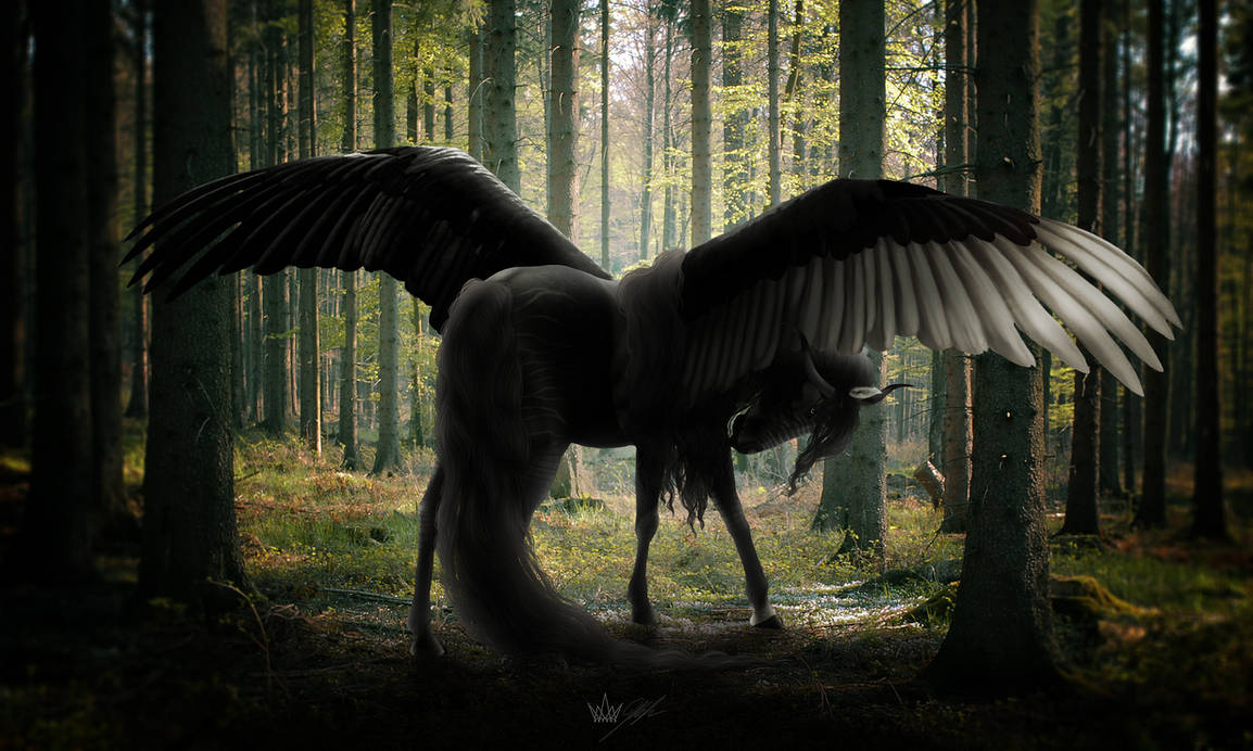 E S I N A K H by Befera