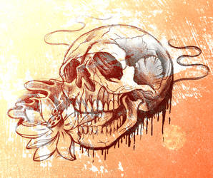 Rough skull sketch