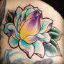 Japanese lotus flower