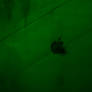 Apple green wallpaper